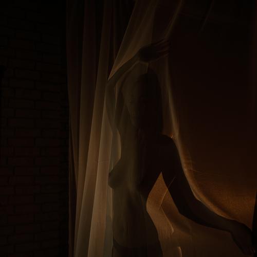 Photo #5272806