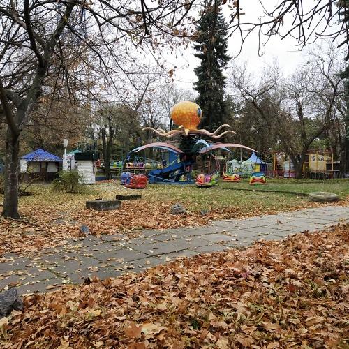 Photo #5272842