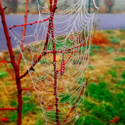 Photo #5273191