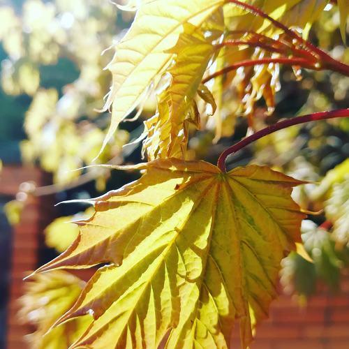 Photo #5273198
