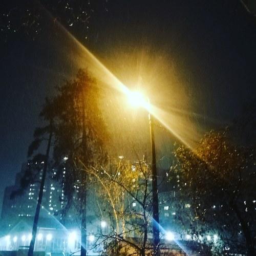 Photo #5273203