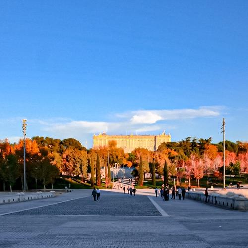 Photo #5273460