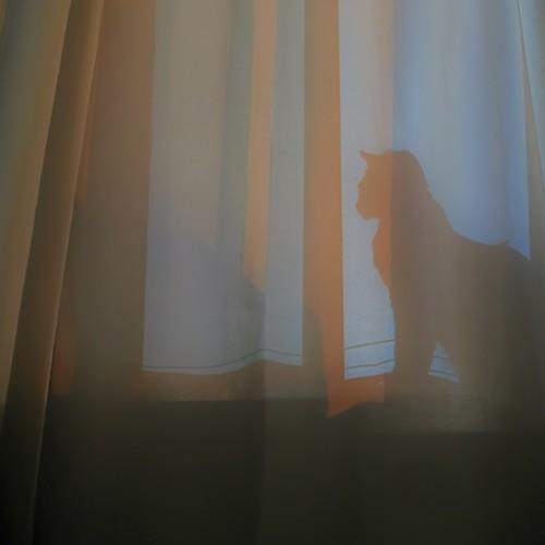 Photo #5273771