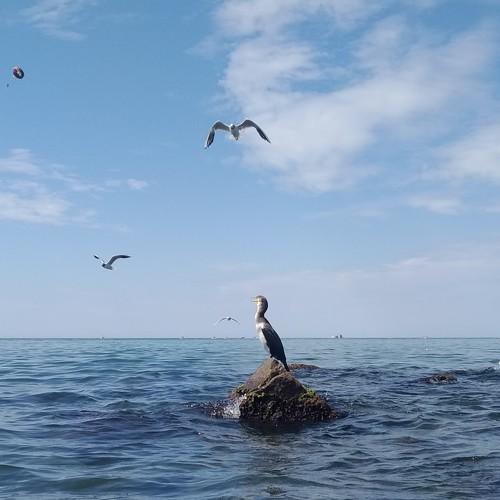 Photo #5274095