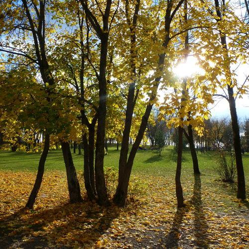 Photo #5274209