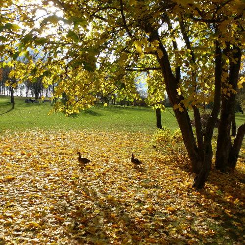 Photo #5274224