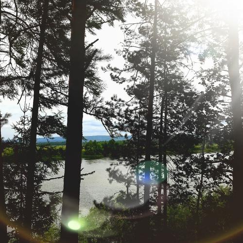 Photo #5274247