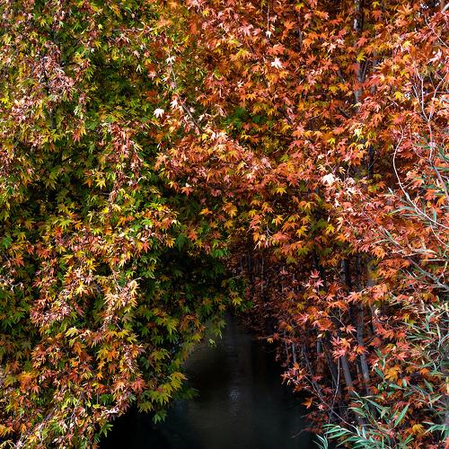 Photo #5274362