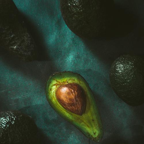 Photo #5274406