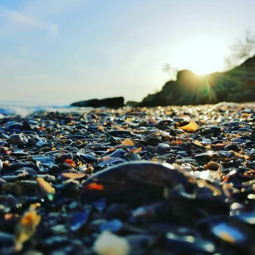 Photo #5274638