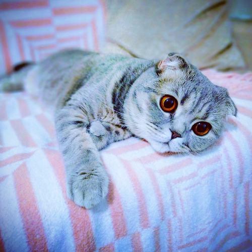 Photo #5274720