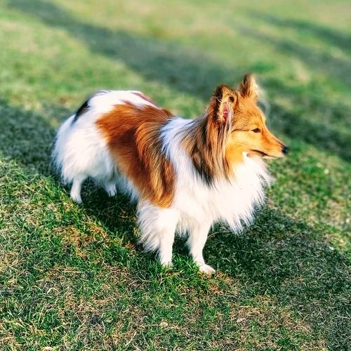 Photo #5274745