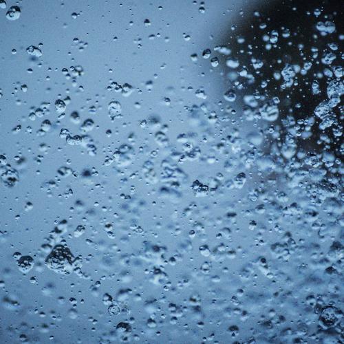 Photo #5275547