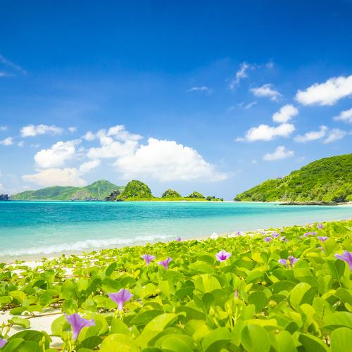 Paradise Island