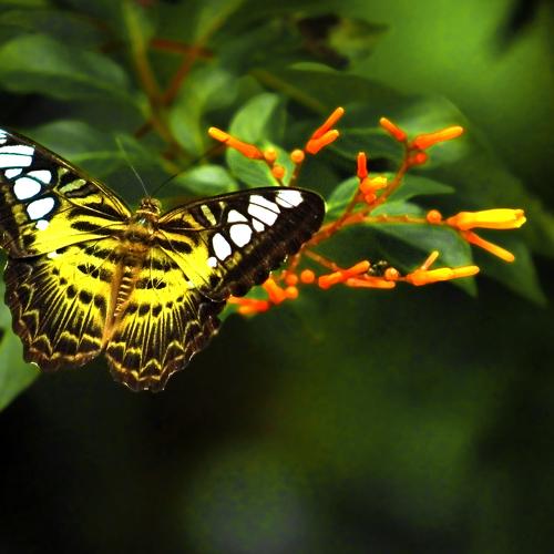 Photo #5275926