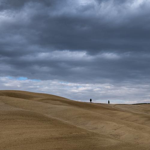 Photo #5276089
