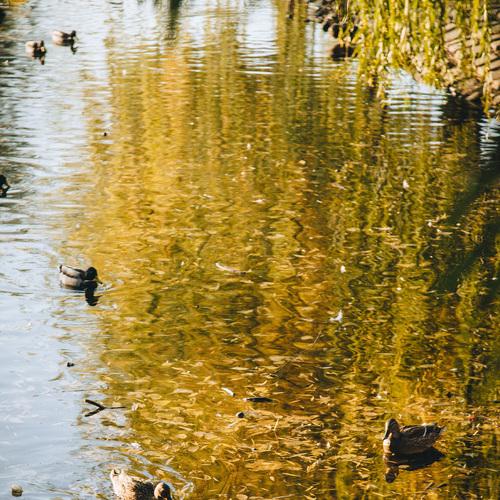 Фотография #5276421