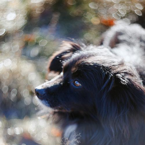 Фотография #5276448