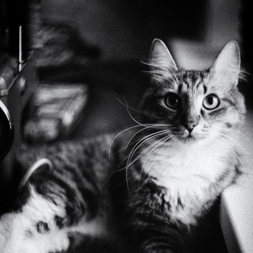 Фотография #5276456