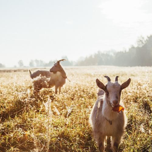 Фотография #5276463