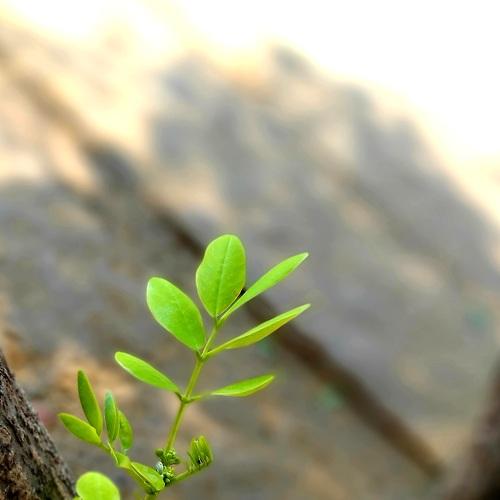 Photo #5276505
