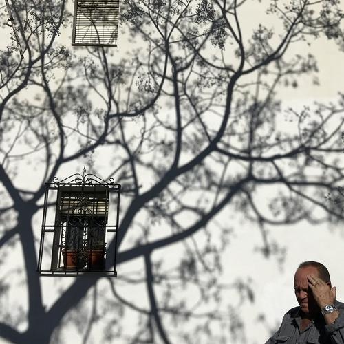 La Sombra del árbol