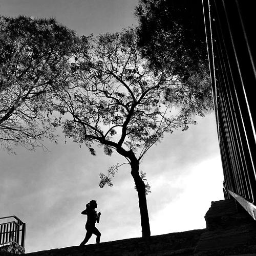 Photo #5276743