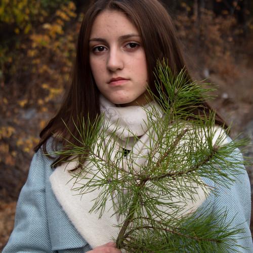 Photo #5277157