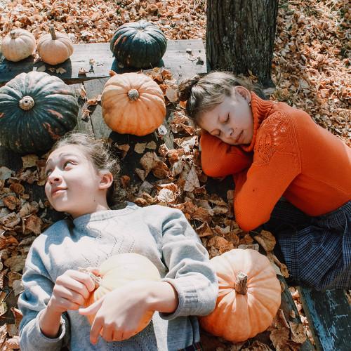 Photo #5277384