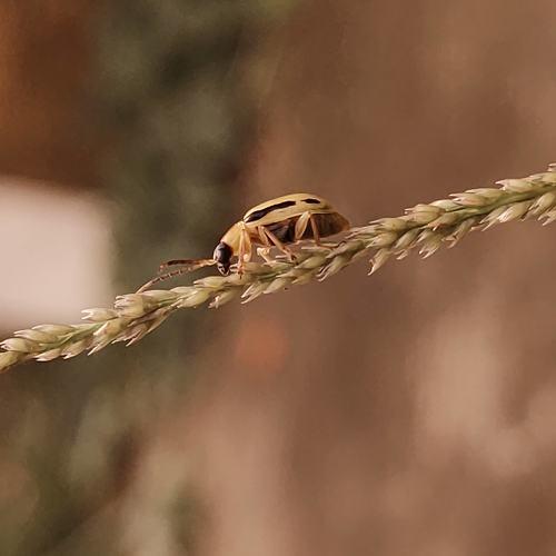 Photo #5277635