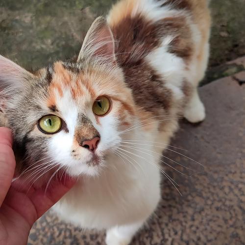 Photo #5277819