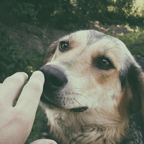 Photo #5277850