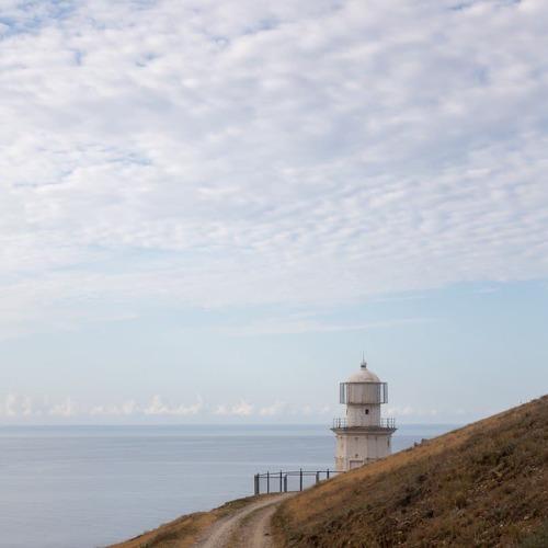 Photo #5278001