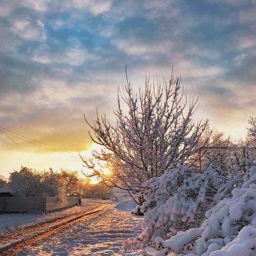 Photo #5278003