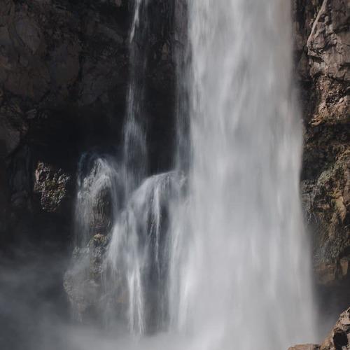 Photo #5278005