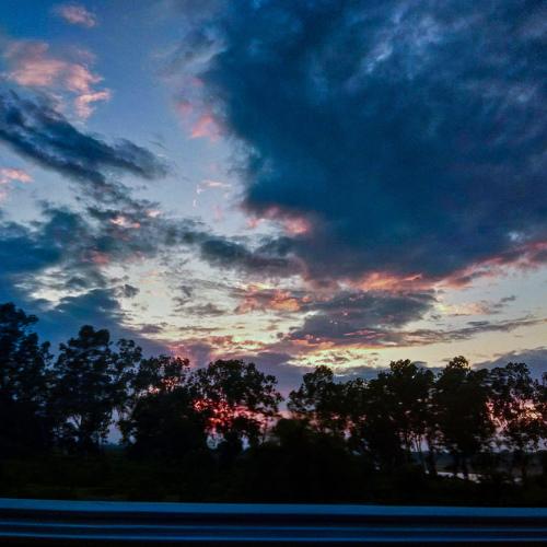 Photo #5278255