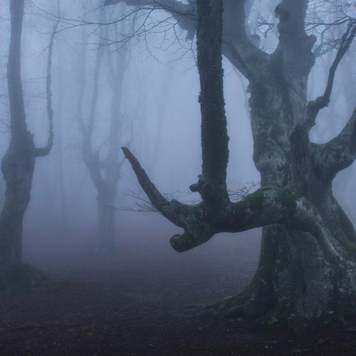 Фотография #5278734