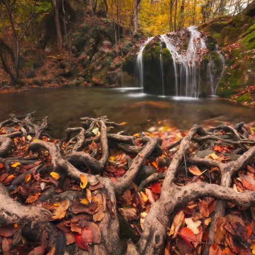 Фотография #5278736