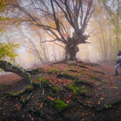 Фотография #5278738