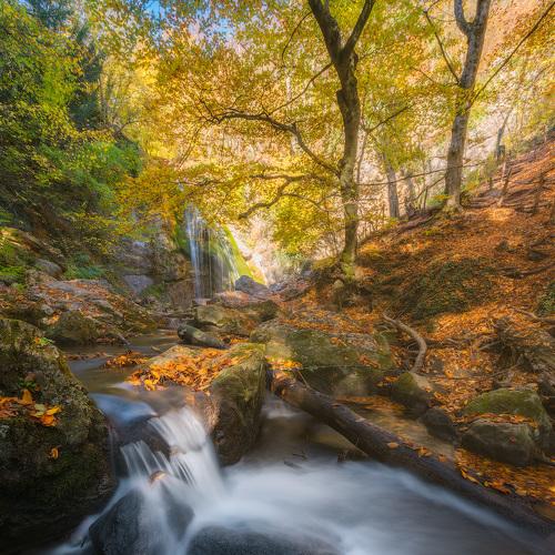 Фотография #5278739