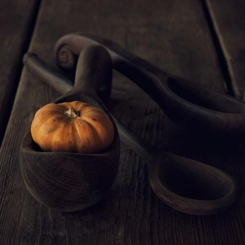 Photo #5278987