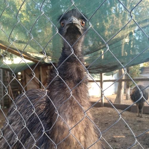 Photo #5279210