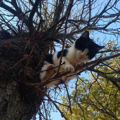 Photo #5279219