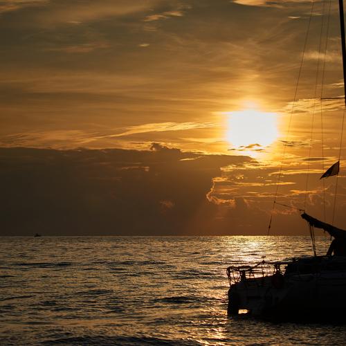 Photo #5279443