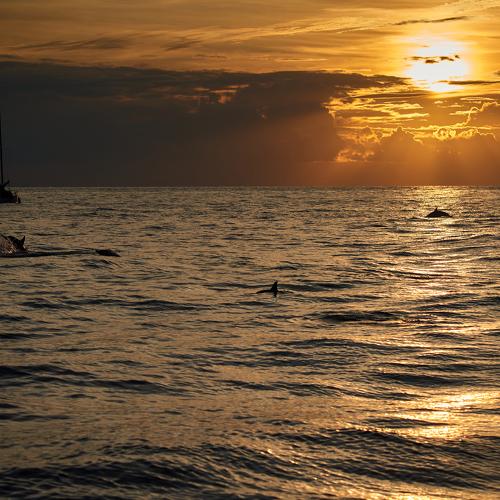 Photo #5279447
