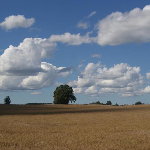 Photo #5279804
