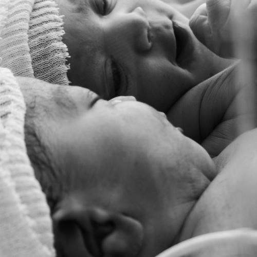 Photo #5280123