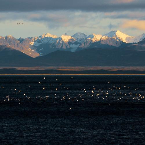 Камчатский морской пейзаж