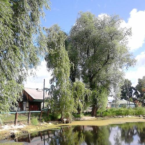 Photo #5280703