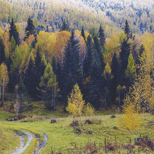 Photo #5280830